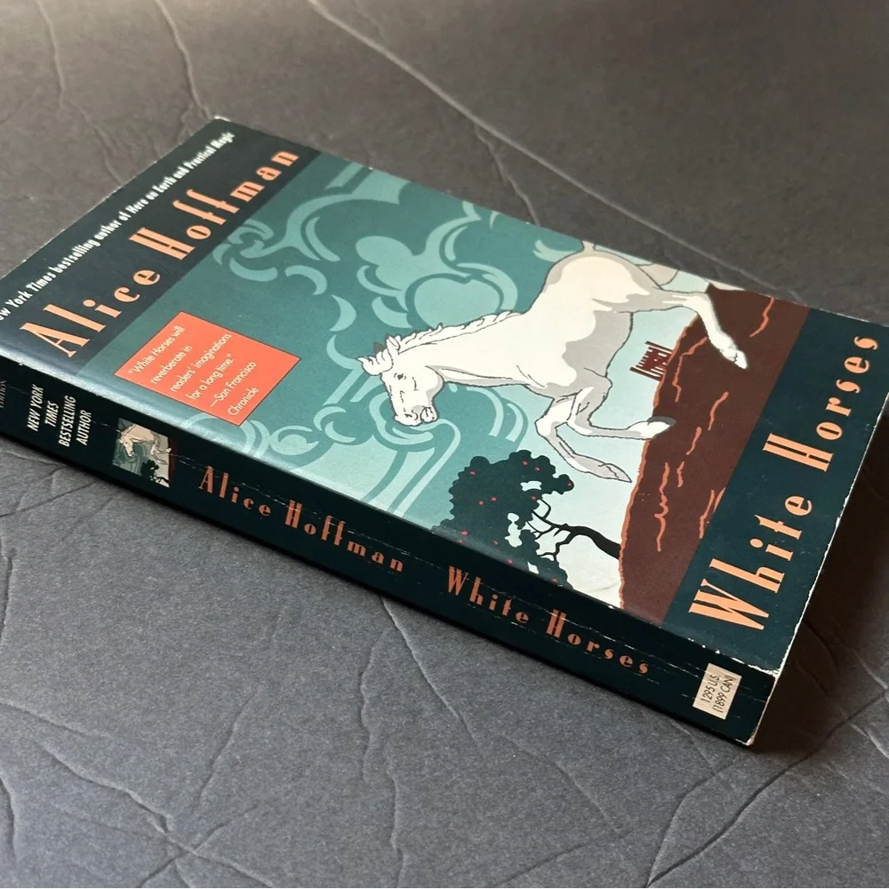 2 BOOK BUNDLE by Alice Hoffman | Fiction | Paperback Book (s) - Picture 3 of 9